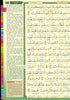 Maqdis B5 Medium Al Quran Al Kareem Word-by-Word Translation Tajweed Colour Coded with 200 Tags of Verses + 30 Tags of Juz Green