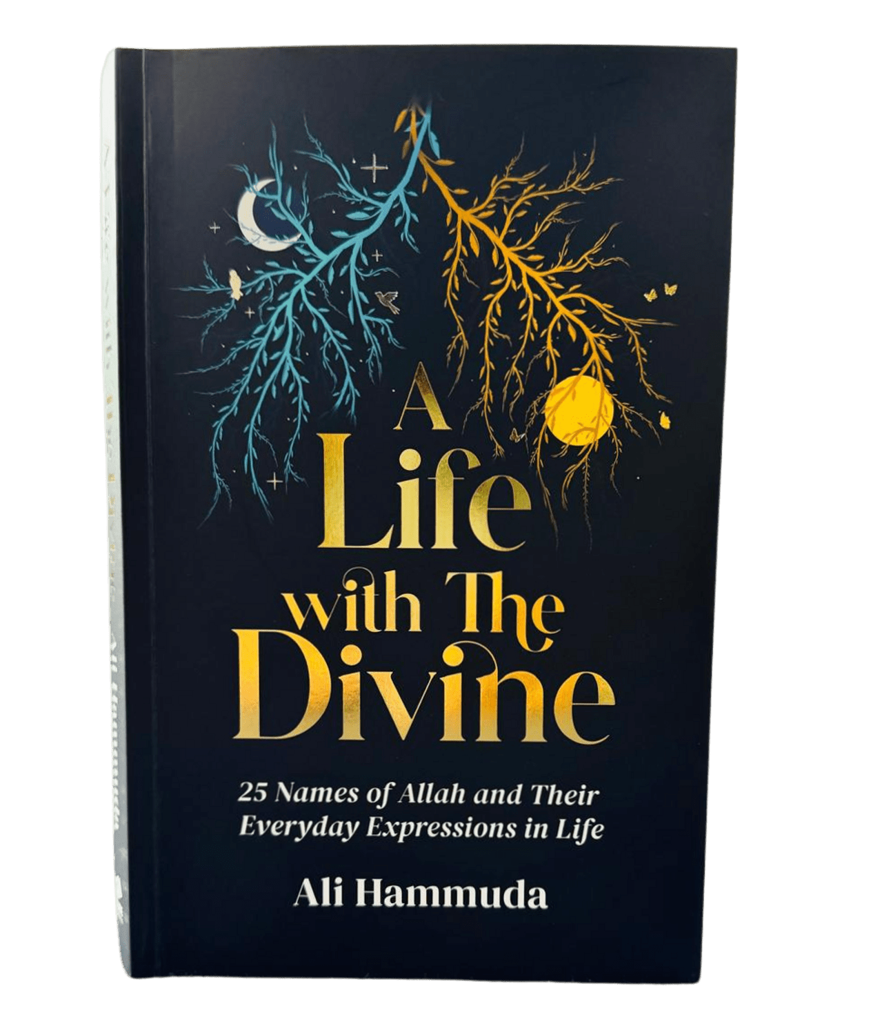 A Life with the Divine by Ali Hammdua - Darussalam