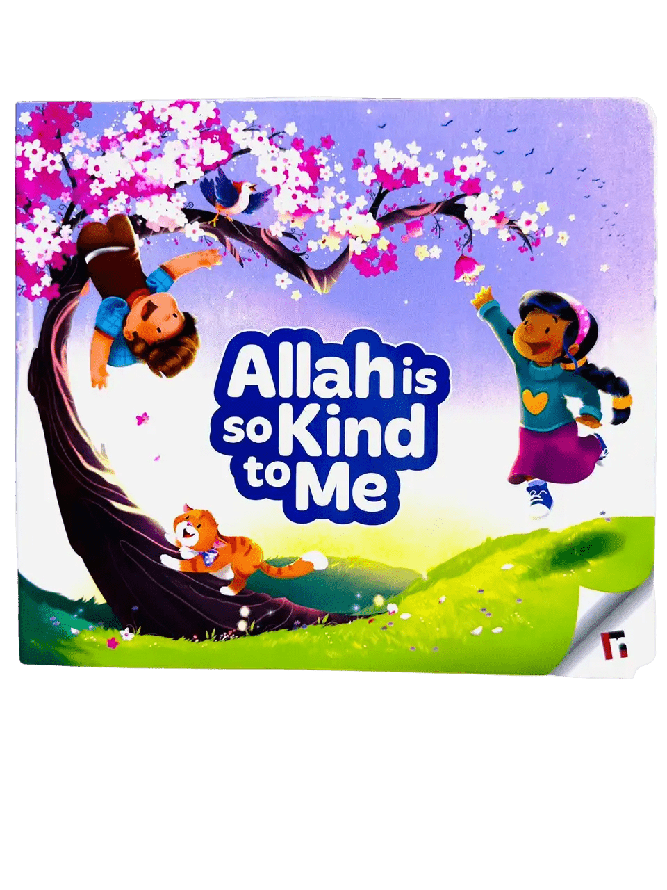 Allah is So Kind to Me - Darussalam