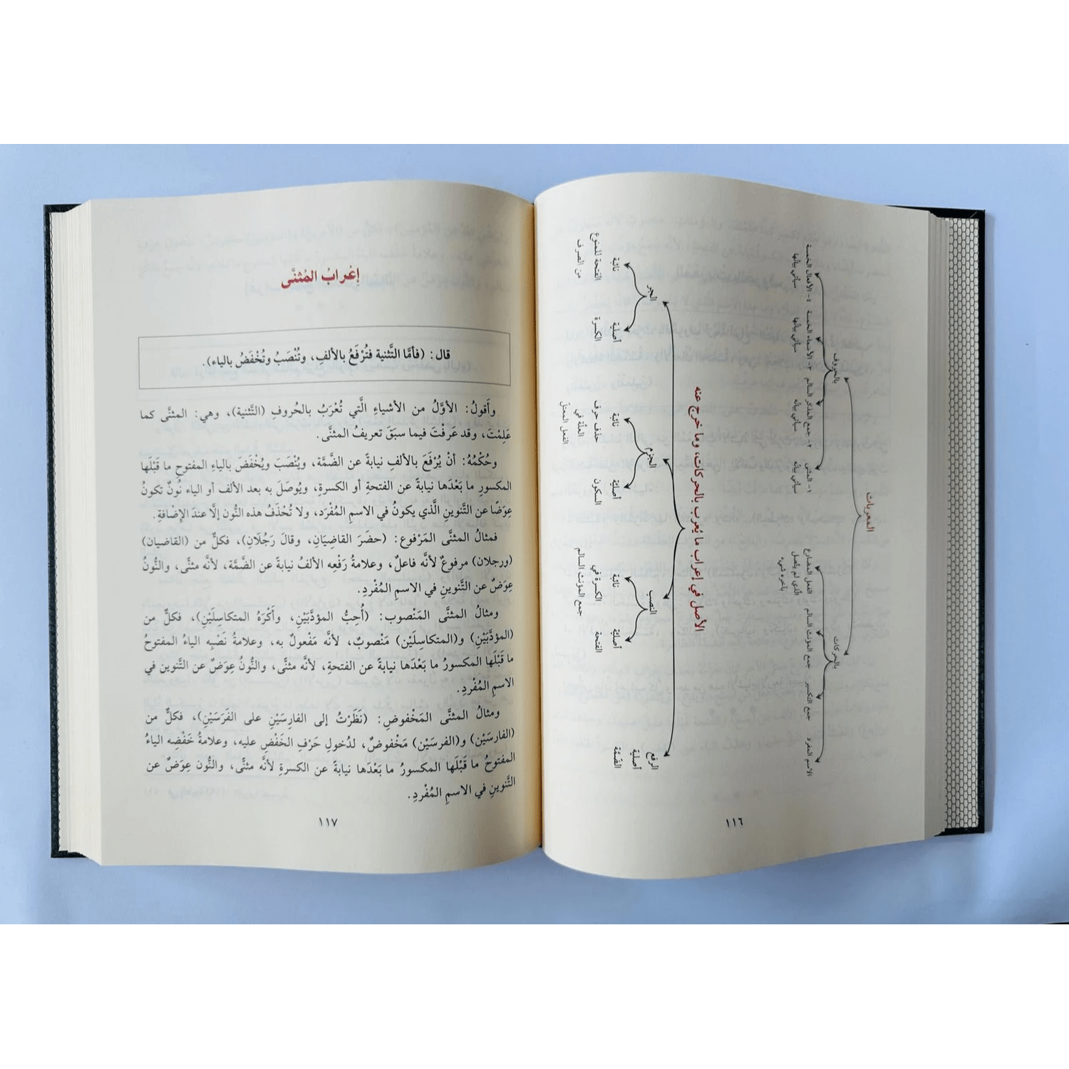 Arabic Grammer (التَّخْفَةُ السَّنِيَةُ ) - Darussalam