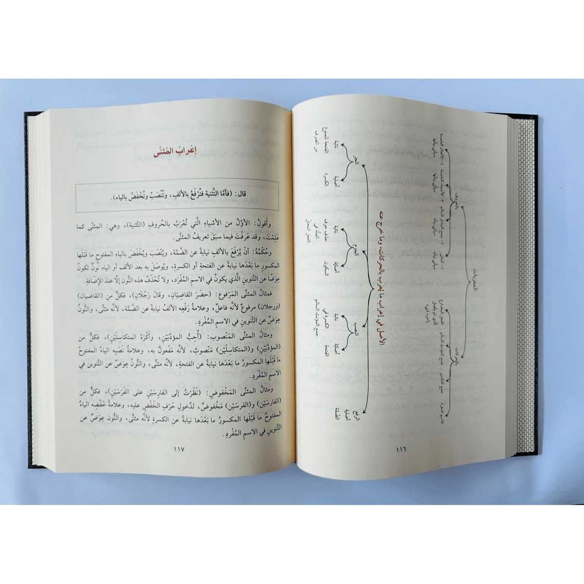 Arabic Grammer (التَّخْفَةُ السَّنِيَةُ ) - Darussalam