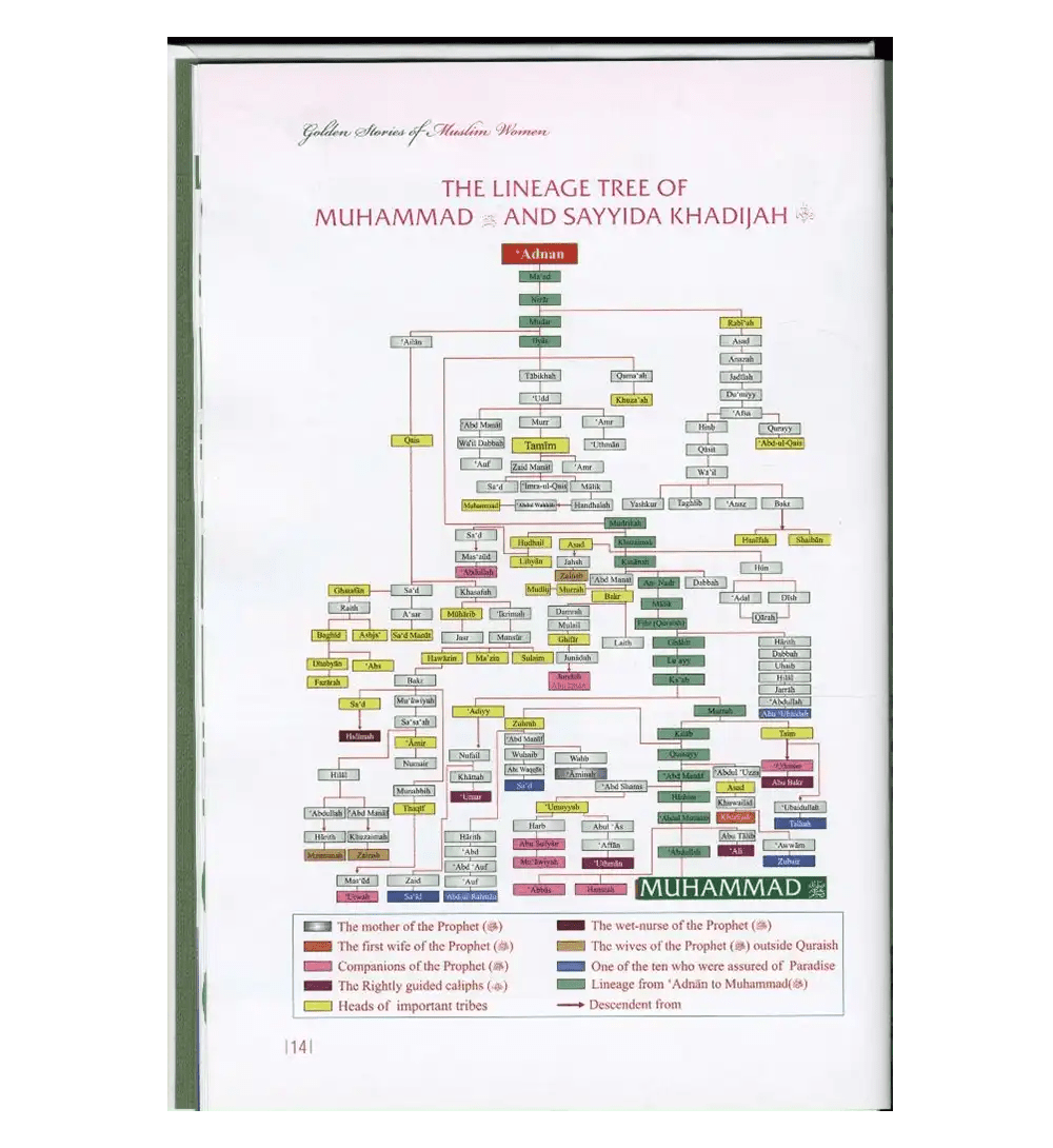 Golden Stories of Muslim Women - Darussalam