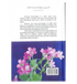 Important Lessons for Muslim Women - Darussalam