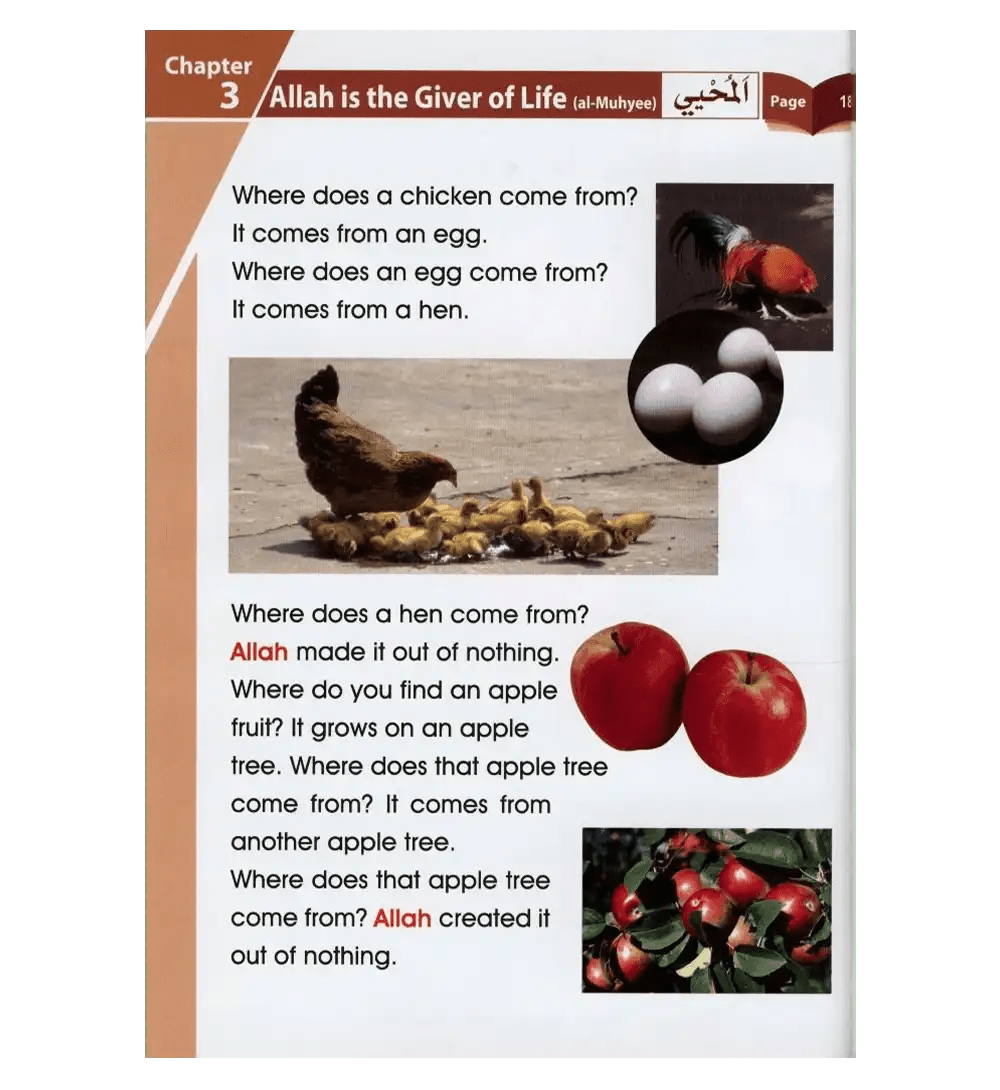 Islamic Studies Grade 1 (paperback) - Darussalam