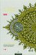 Maqdis Al Quran Al Kareem Word - by - Word Translation Colour Coded Tajweed White - Darussalam