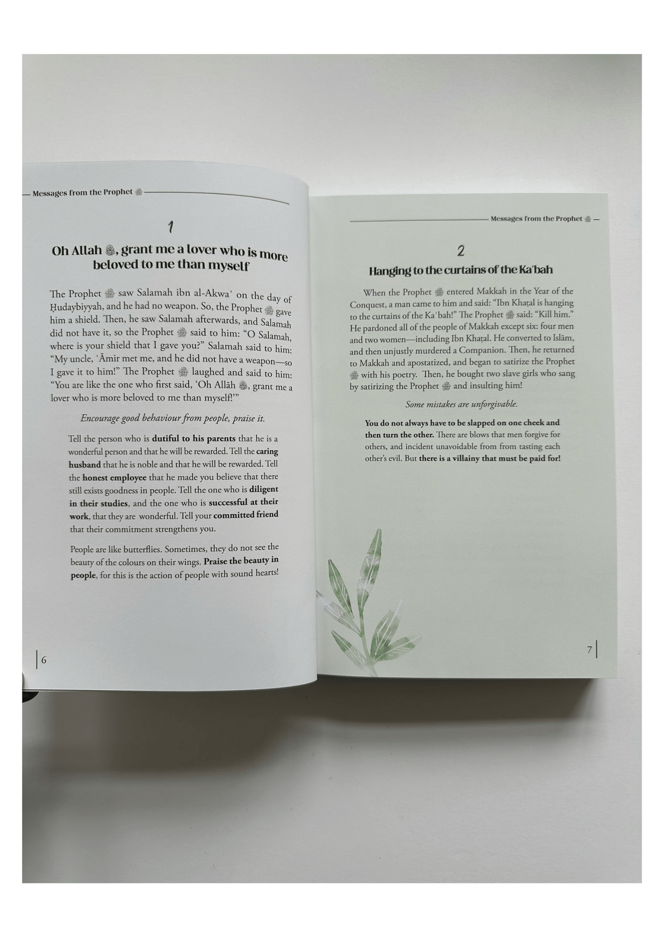 Messages From The Prophet By Adham Sharkawi - Darussalam