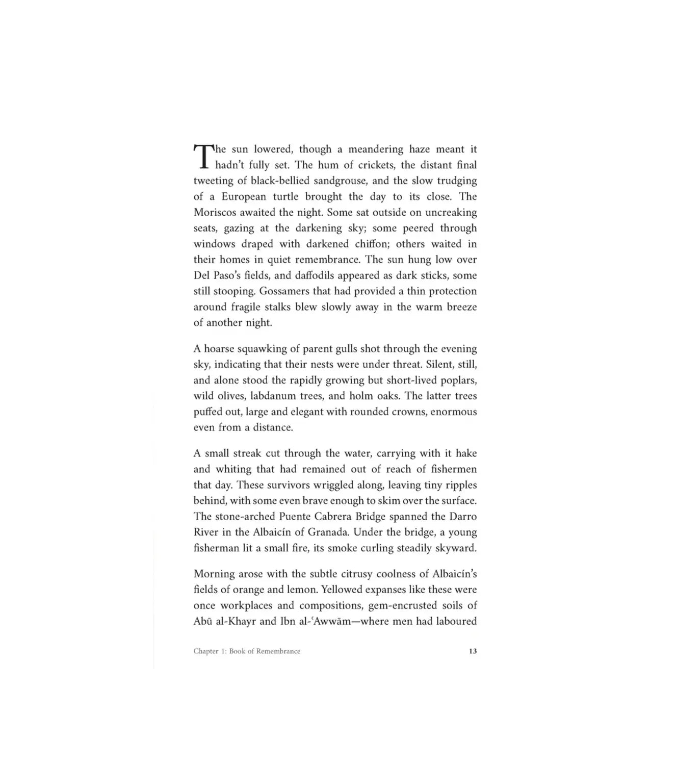 Shadows of Strangers - Darussalam