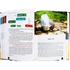 Stories Of The Prophets (Peace be upon them) Coloured Edition by Darussalam - Darussalam