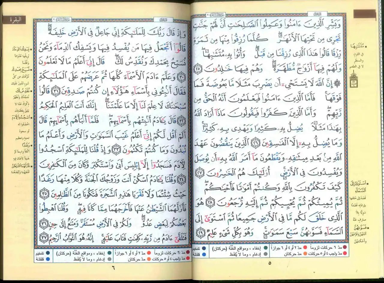 Tajweed Quran - Color coded Arabic only Large 17x24cm DM Delux - Darussalam