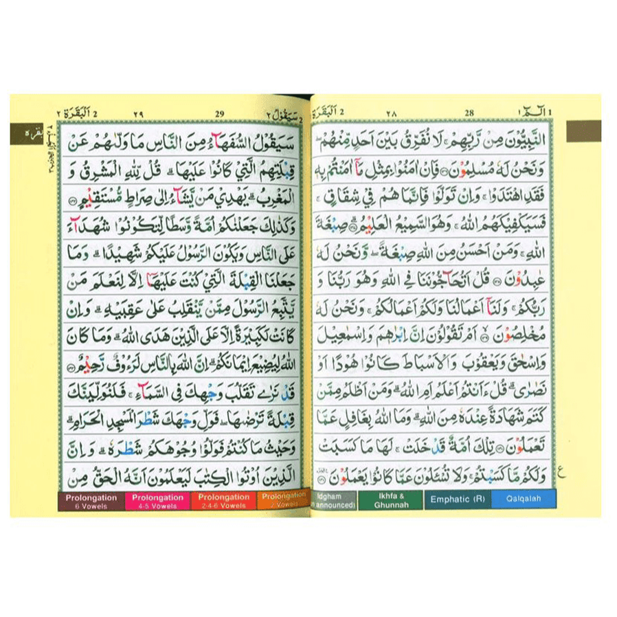 Tajweed Quran Colour Coded,Pakistani-Indian-Persian script (13x17) - Darussalam