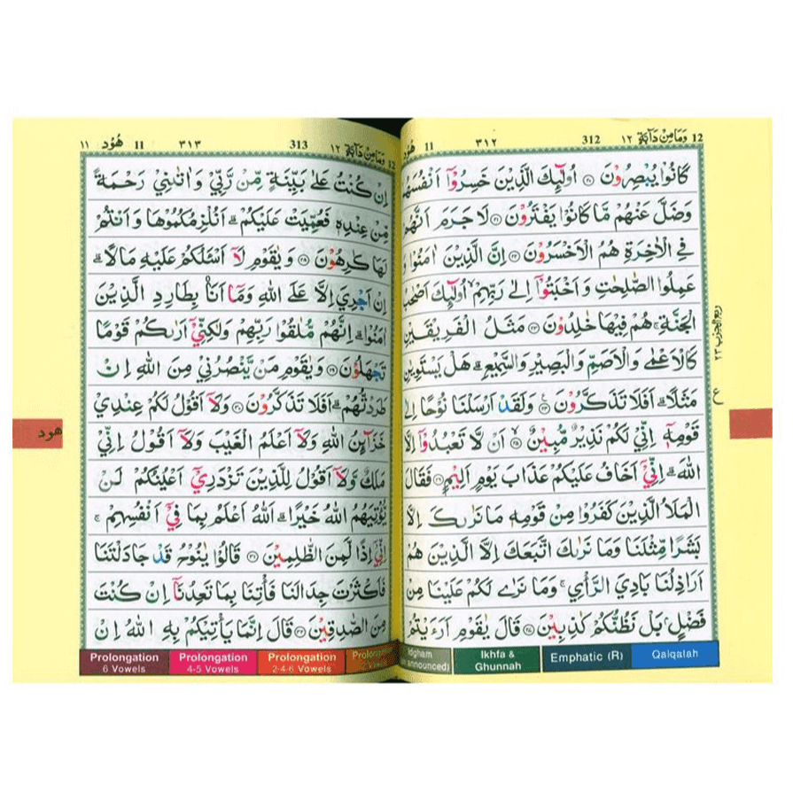 Tajweed Quran Colour Coded,Pakistani-Indian-Persian script (13x17) - Darussalam