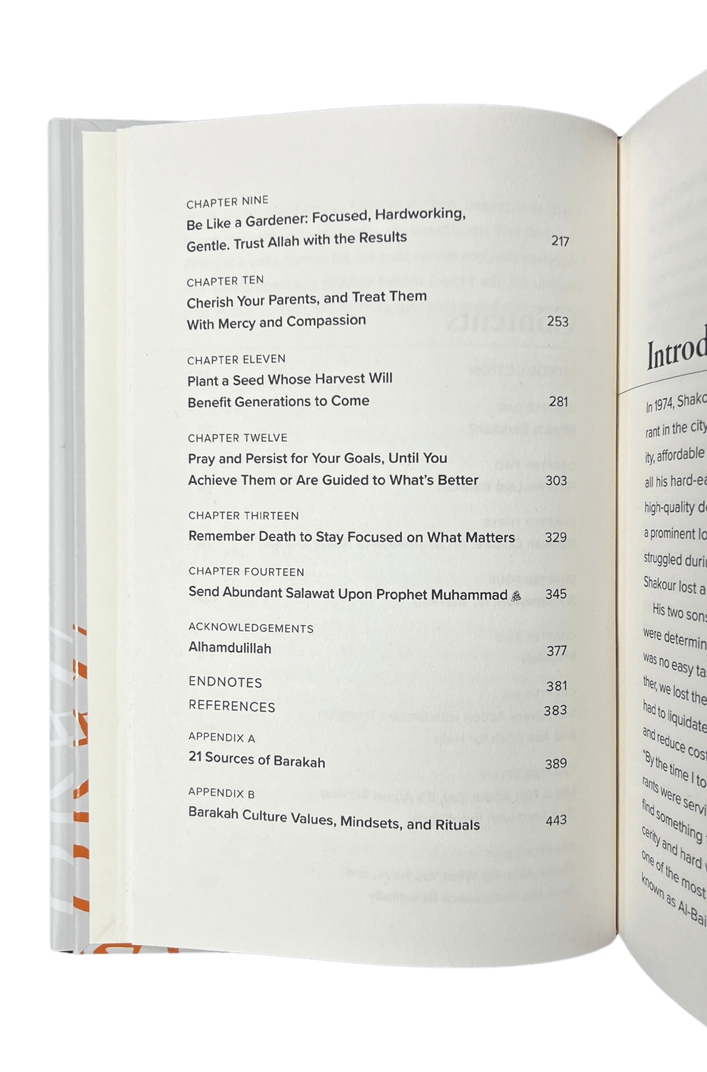 The Barakah Effect - Darussalam