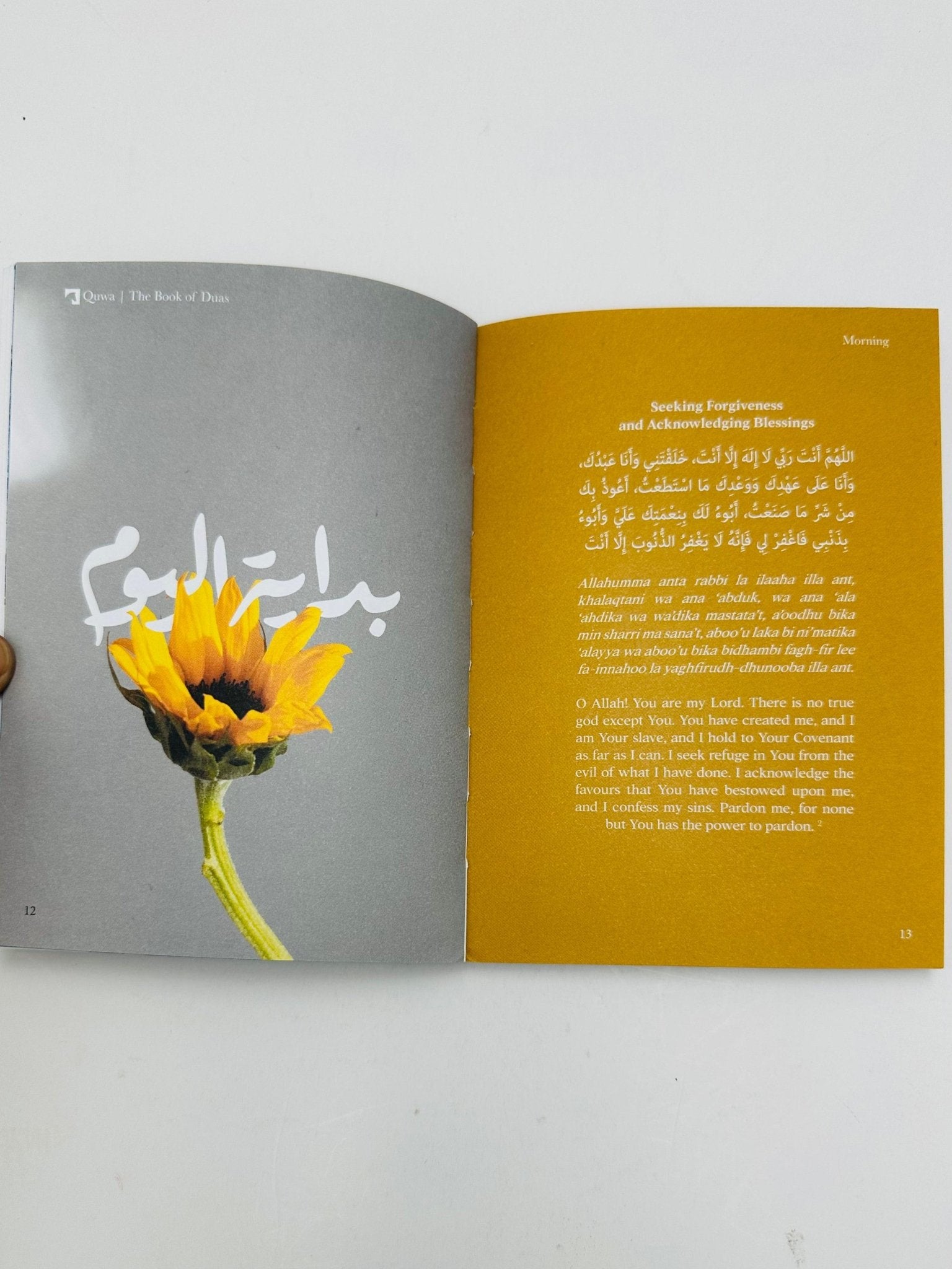 The Book of Duas by Mufti Menk - Darussalam