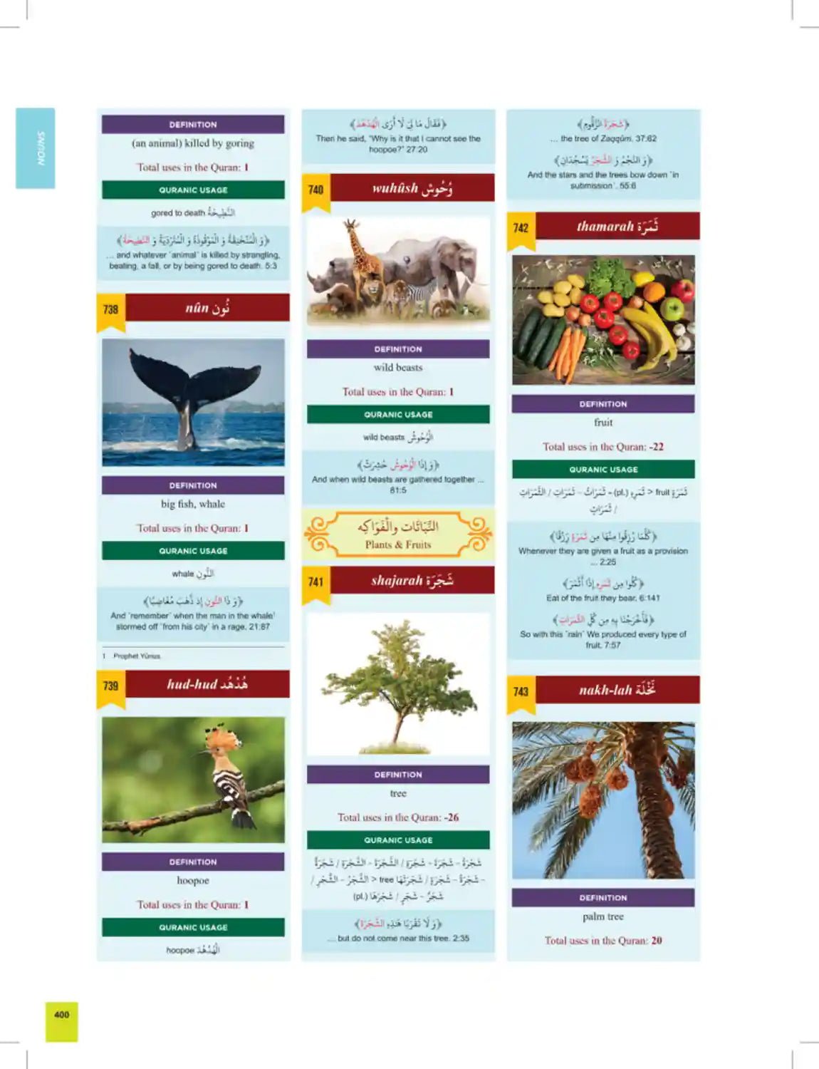The Clear Quran : Series Dictionary - Darussalam