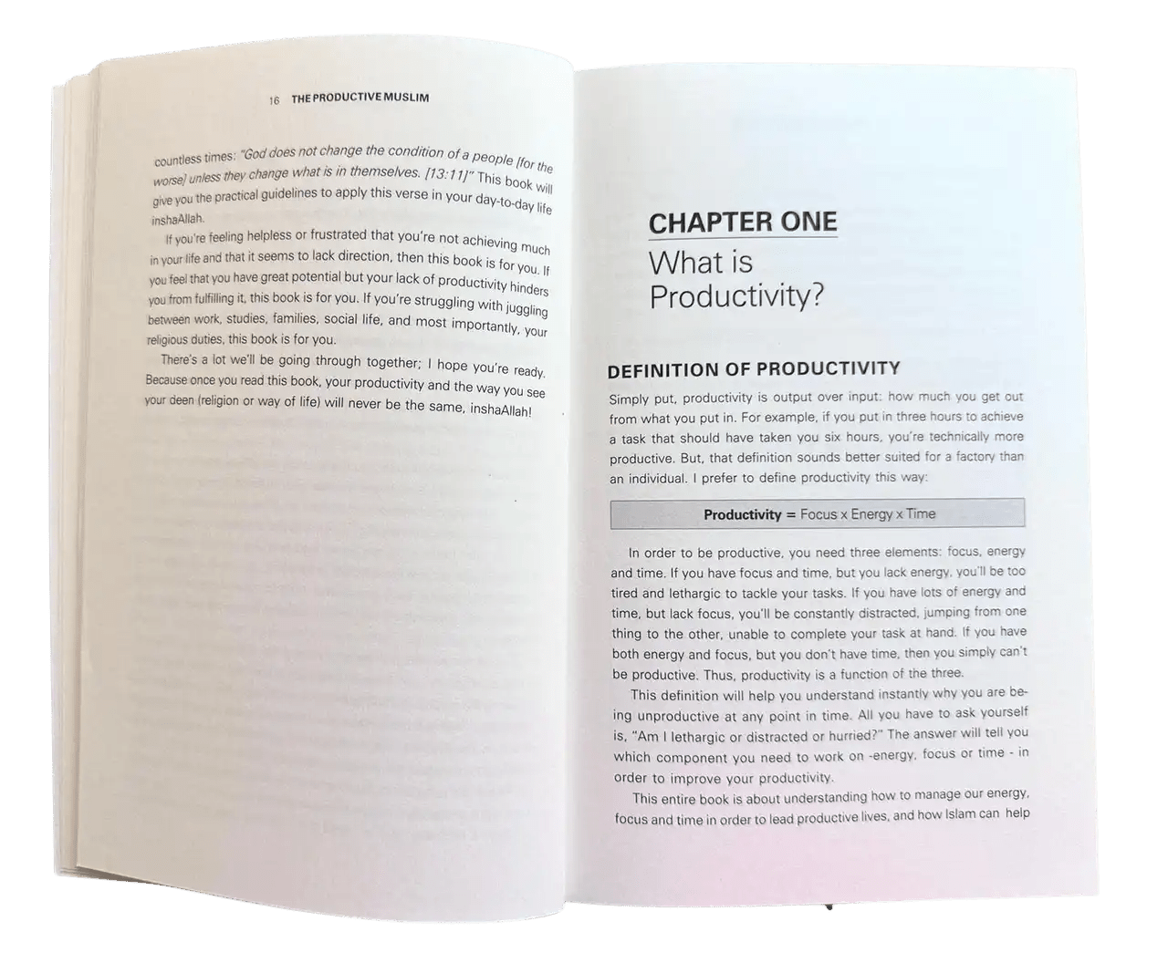 The Productive Muslim Book - Darussalam